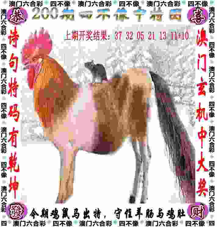 巴赫眼中的洛桑冬青奥会：精彩 包容 可持续